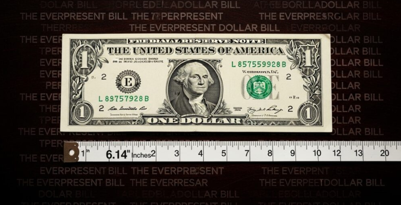 14 Daily-Use Items Measuring 6 Inches Long